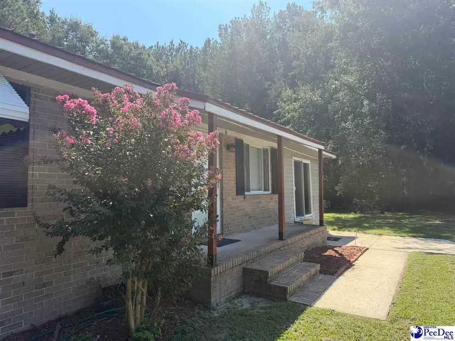 164 N Butler Road, Latta, SC 29565 - #3