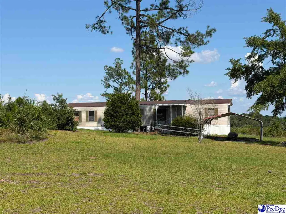 518 Singletree Rd, Cheraw, SC 29520 - #1