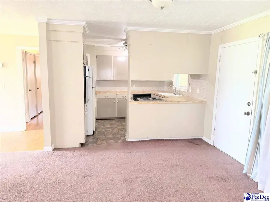 1106 N 8th Ave., Dillon, SC 29536 - #3