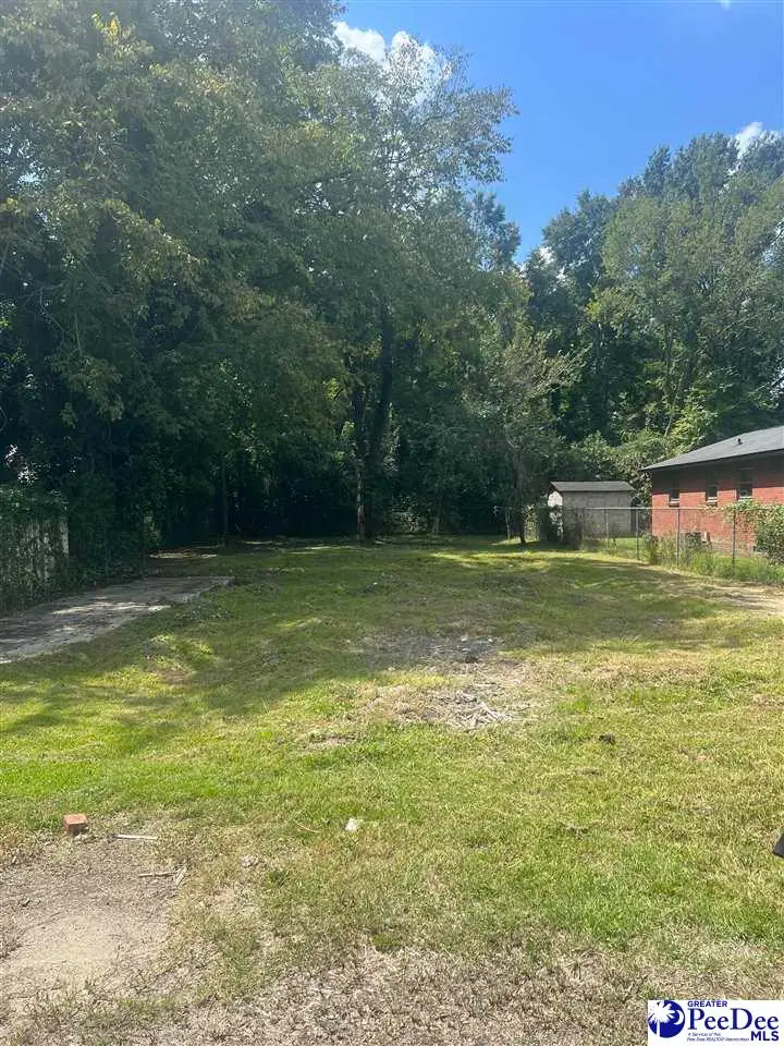 306 Mullins St, Florence, SC 29506 - #1
