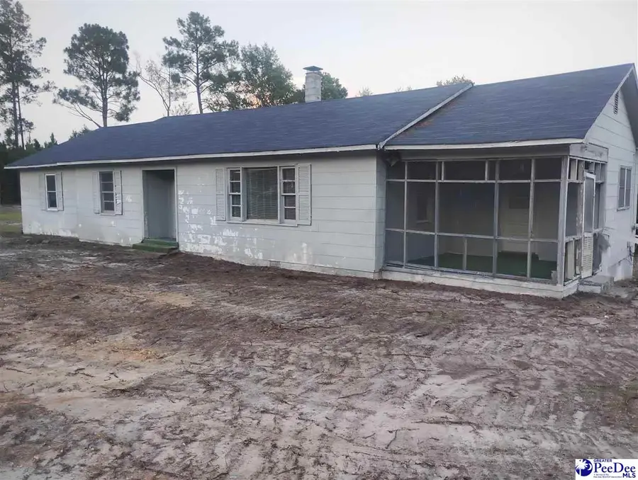 7333 & 7315 Highway 52 S, Society Hill, SC 29593 - #2