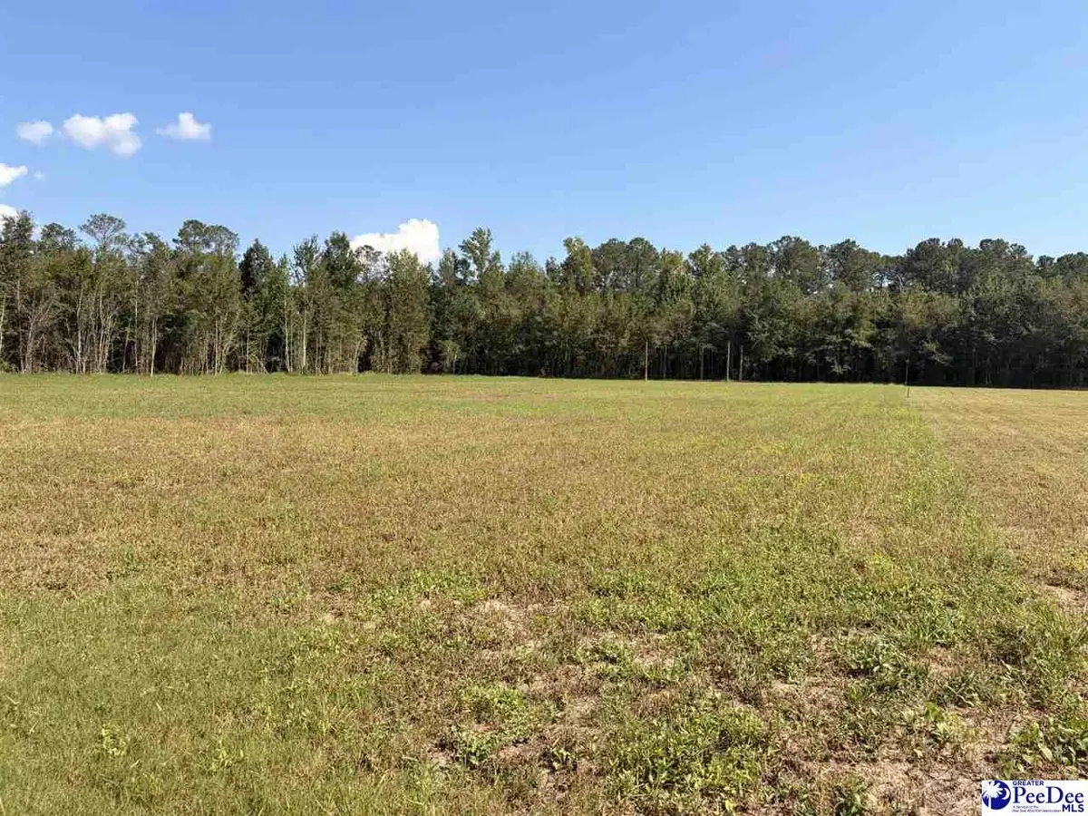 1420 Kelley Rd., Olanta, SC 29114 - #1