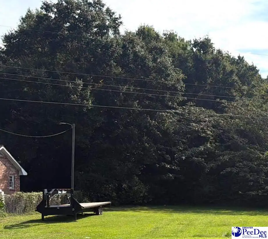 TBD Parrish Dr, Mullins, SC 29574 - #1