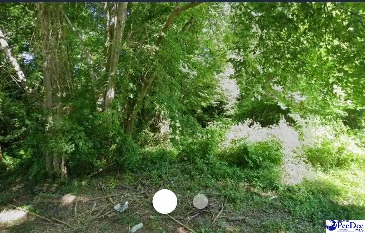 100 2nd Ave, Bennettsville, SC 29512 - #1