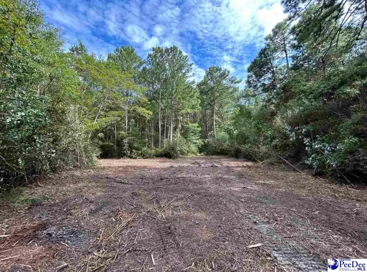000 Hwy 52, Cheraw, SC 29520 - #1