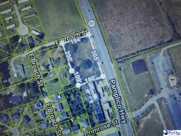 TBD Hwy 51 Pamplico Hwy, Florence, SC 29505