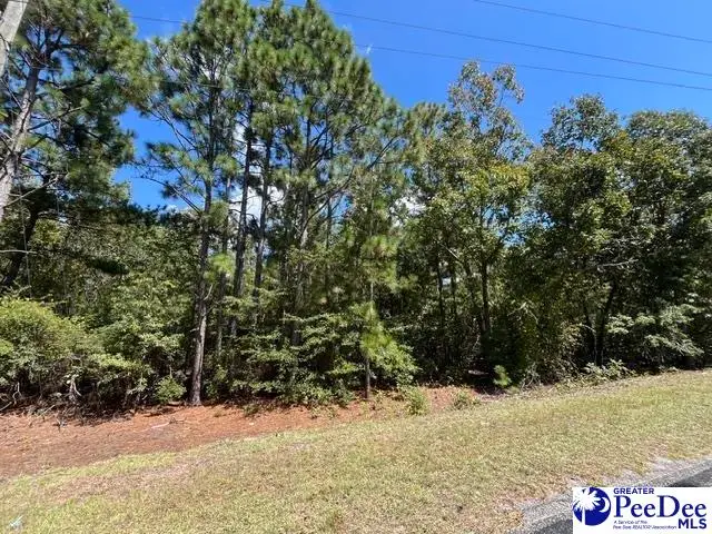 2522 Mount Hebron Road, Cassatt, SC 29032 - #2
