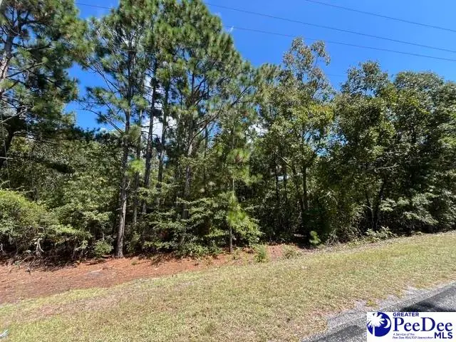 2522 Mount Hebron Road, Cassatt, SC 29032 - #3