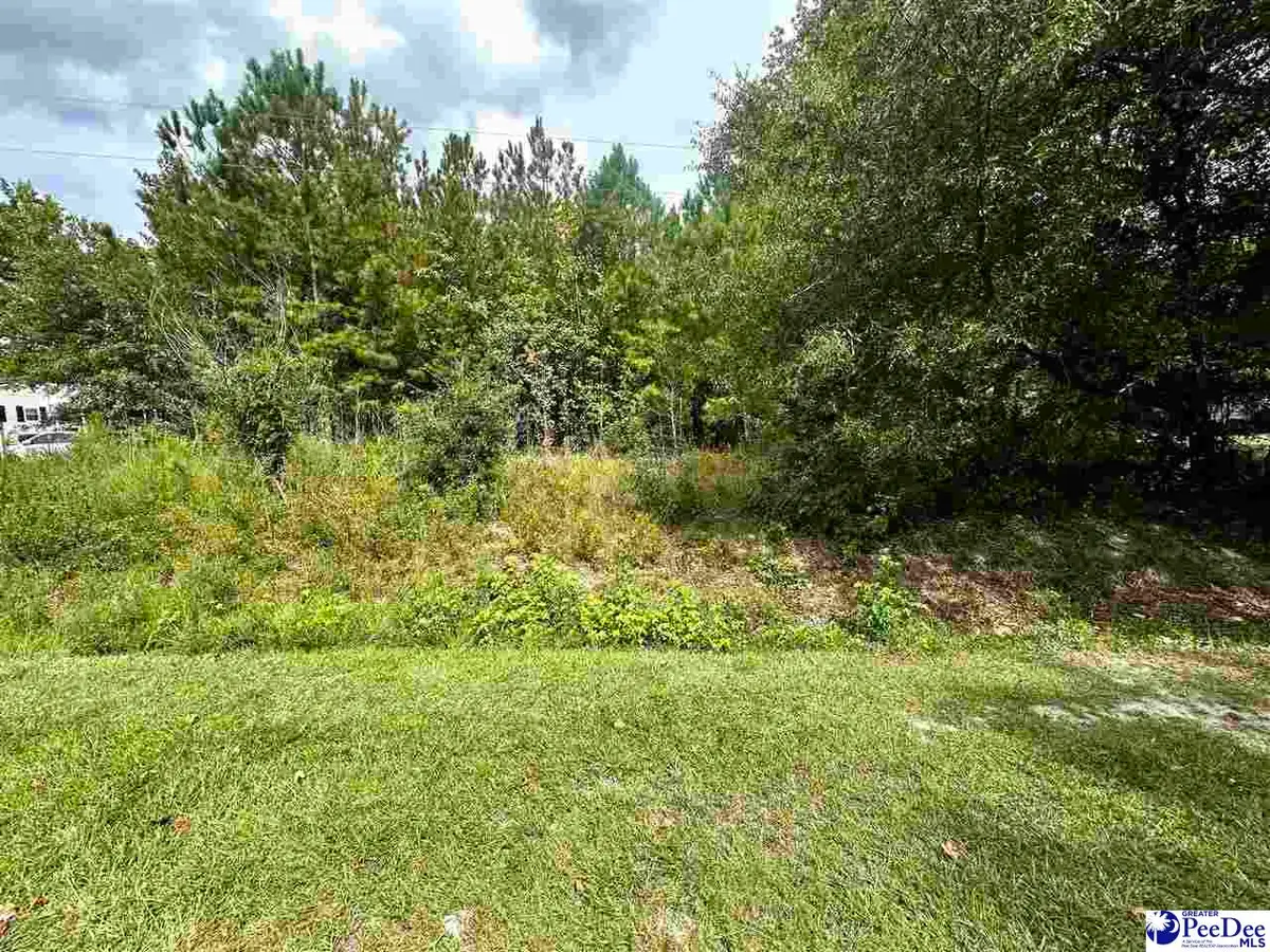 TBD Willowtree Rd, Darlington, SC 29540 - #1
