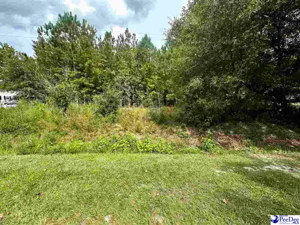 TBD Willowtree Rd, Darlington, SC 29540