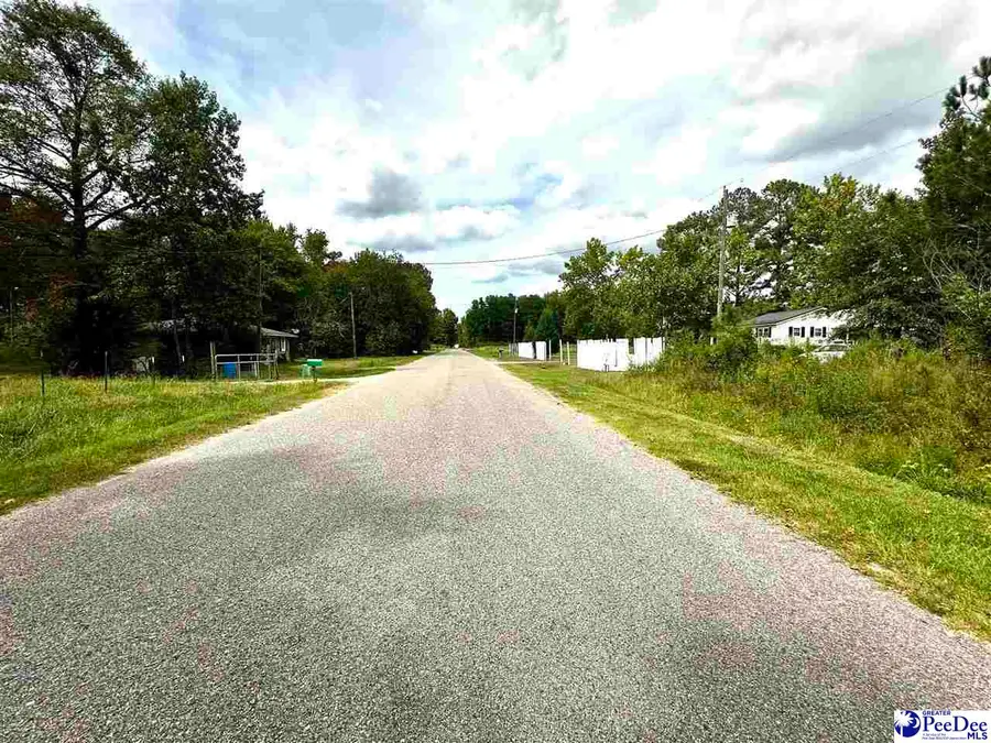TBD Willowtree Rd, Darlington, SC 29540 - #2