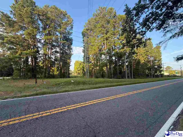 Lot 3 Hunts Mill Road, Cheraw, SC 29520
