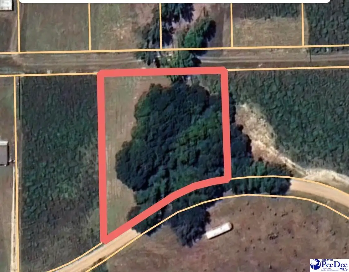 Lot 8 Neil Drive, Hamer, SC 29547 - #1