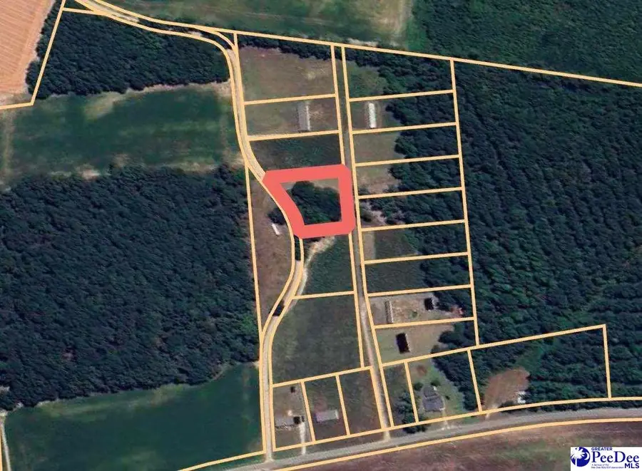 Lot 8 Neil Drive, Hamer, SC 29547 - #2