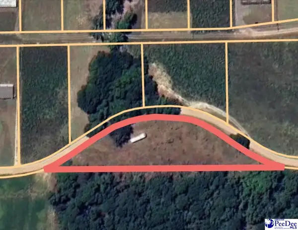 Lot 12 Neil Drive, Hamer, SC 29547