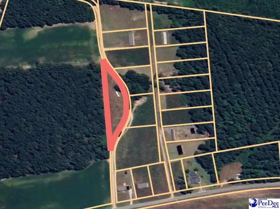 Lot 12 Neil Drive, Hamer, SC 29547 - #2