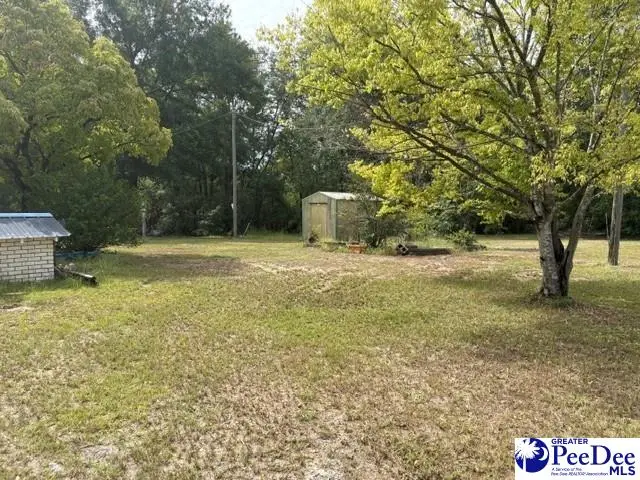 2341 W Old Camden Road, Hartsville, SC 29550-9401 - #3