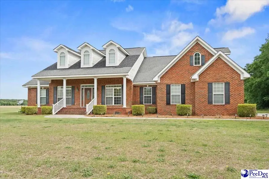 2818 Gray Dr, Darlington, SC 29532 - #2
