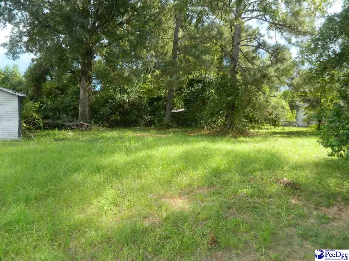 416 N Warren Street, Timmonsville, SC 29161 - #1
