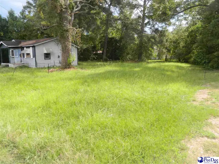 416 N Warren Street, Timmonsville, SC 29161 - #2