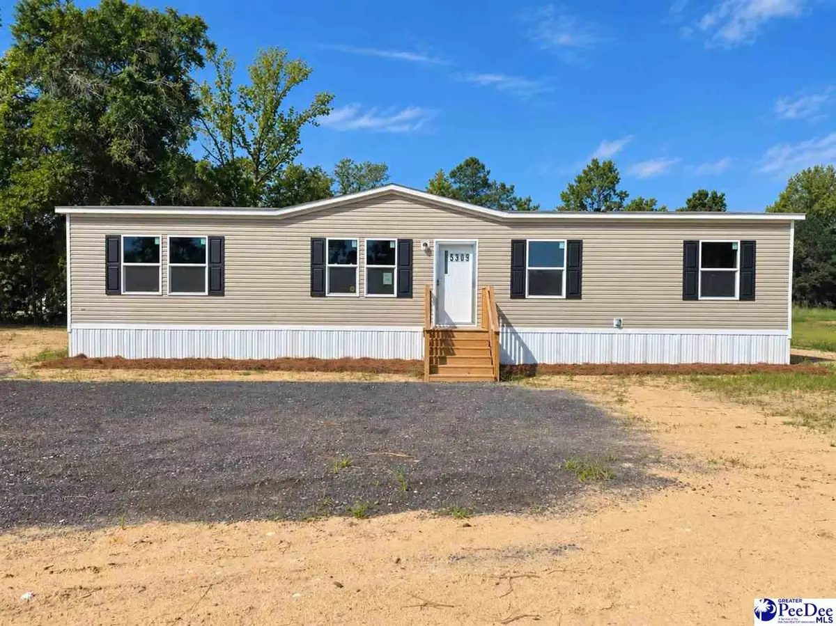 5309 Meadow Prong Rd, Effingham, SC 29541 - #1