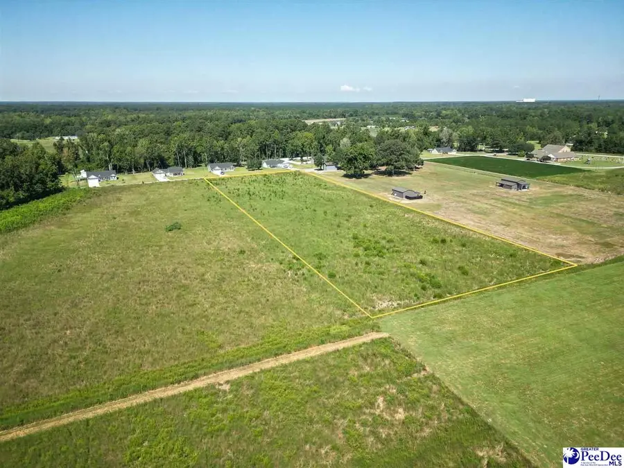Lot 2 E National Cemetery Road, Florence, SC 29506 - #3