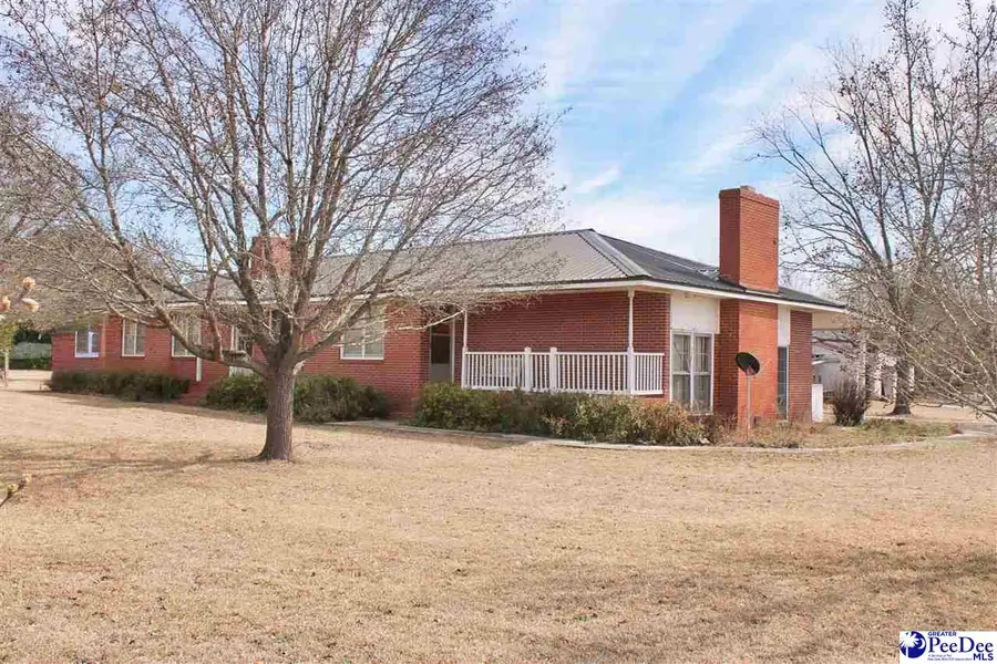 3656 Hwy 177, Wallace, SC 29596 - #2