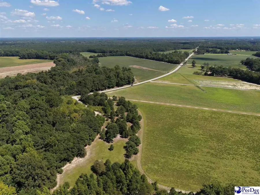 Tract 2 Off Of Hwy 403, Timmonsville, SC 29161 - #2