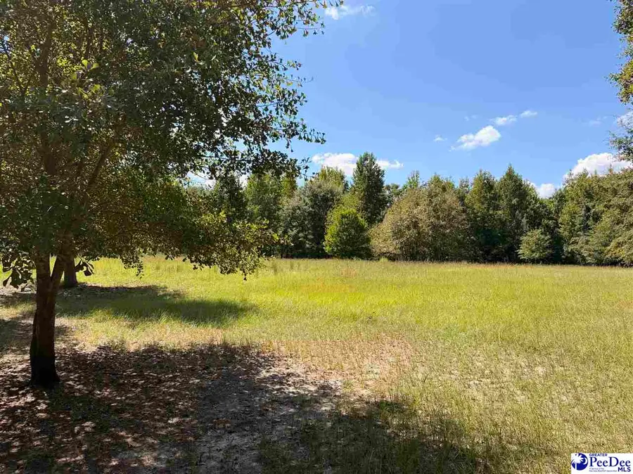 Tract 2 Off Of Hwy 403, Timmonsville, SC 29161 - #3