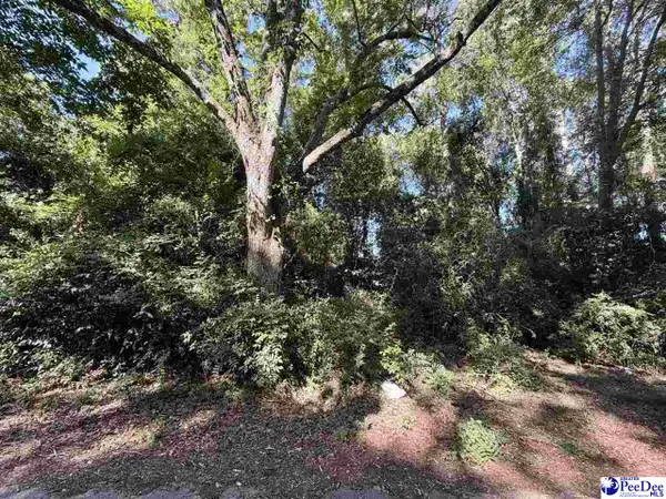 107 Lucus St, Chesterfield, SC 29709-0000
