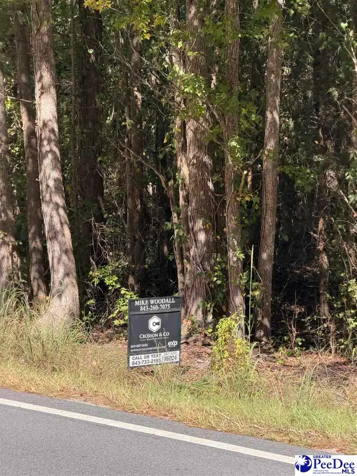 TBD Salem Road, Tract 4, Bennettsville, SC 29512 - #1