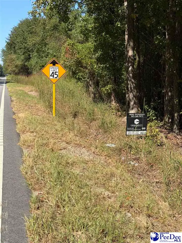 TBD Salem Road, Tract 4, Bennettsville, SC 29512 - #2