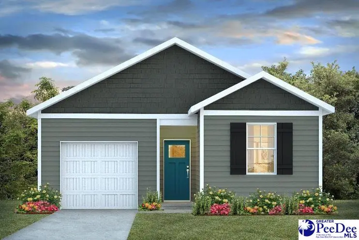 2079 East Paces Trail, Darlington, SC 29532 - #1