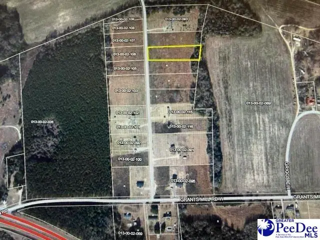 Lot 21 Step Rd, Wallace, SC 29596 - #1