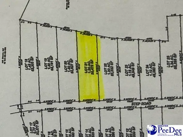 Lot 21 Step Rd, Wallace, SC 29596 - #2