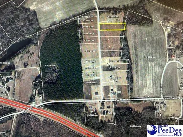 Lot 20 Step Rd, Wallace, SC 29596 - #1