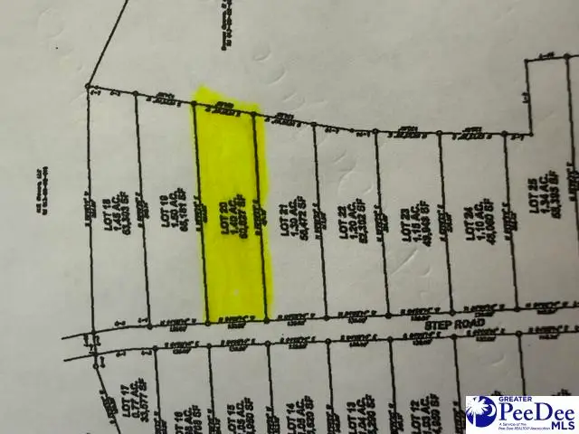 Lot 20 Step Rd, Wallace, SC 29596 - #2