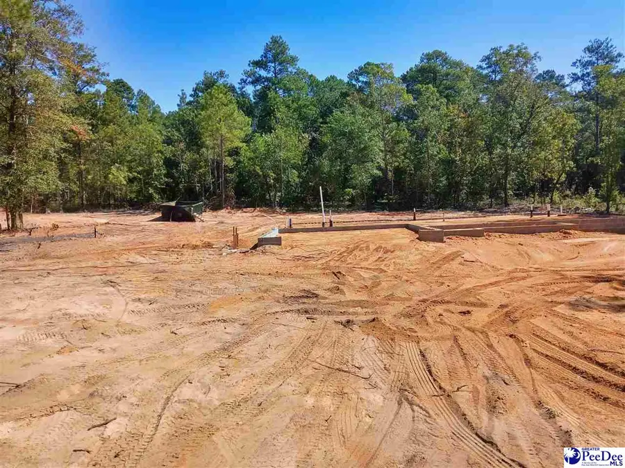 6705 George Coker Lane, Cheraw, SC 29520 - #3