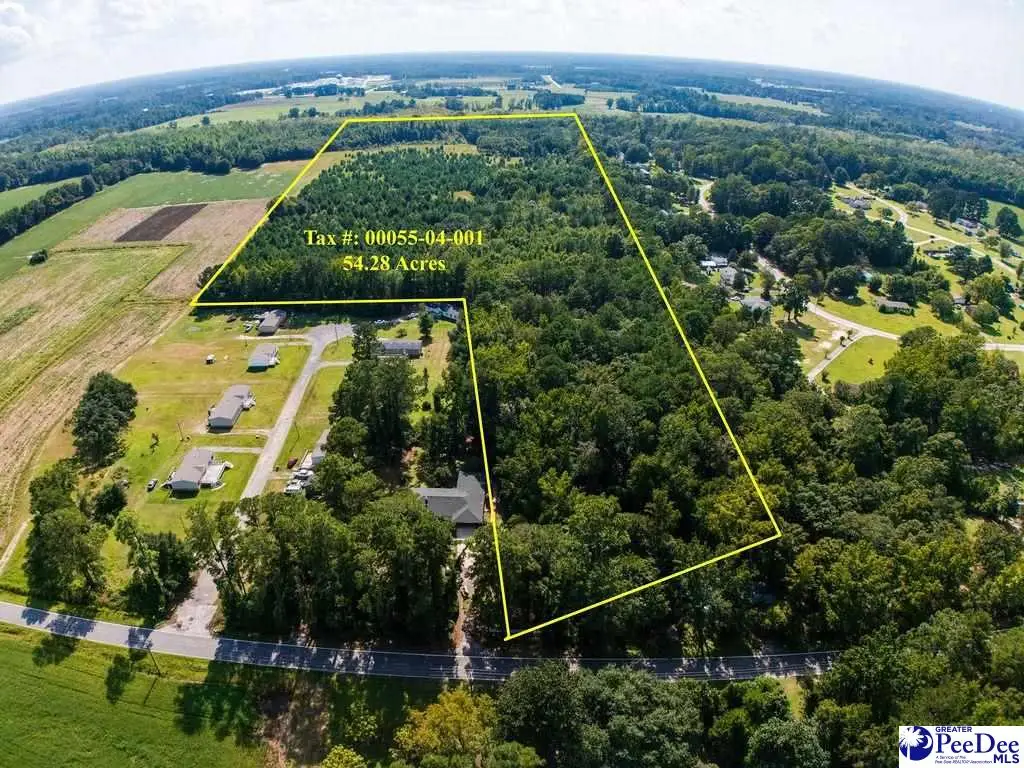 TBD Peniel Rd, Timmonsville, SC 29161 - #1