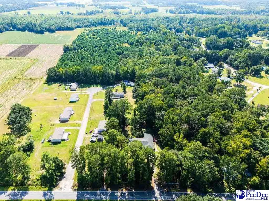 TBD Peniel Rd, Timmonsville, SC 29161 - #2