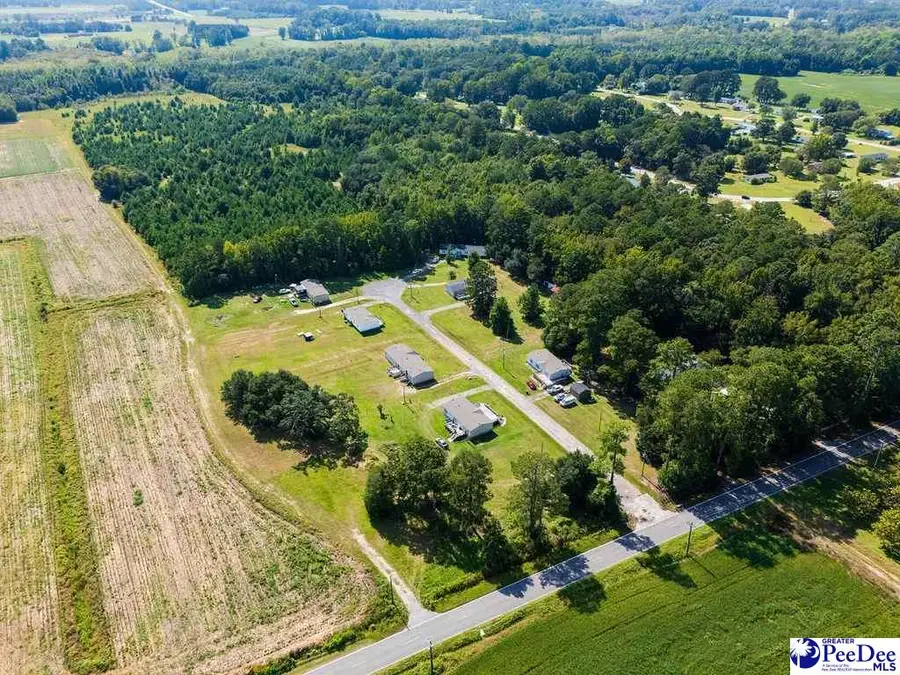 TBD Peniel Rd, Timmonsville, SC 29161 - #3