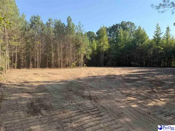 TBD New Hopewell Road, Hartsville, SC 29550
