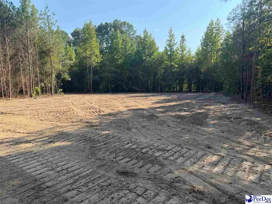 TBD New Hopewell Road, Hartsville, SC 29550 - #2