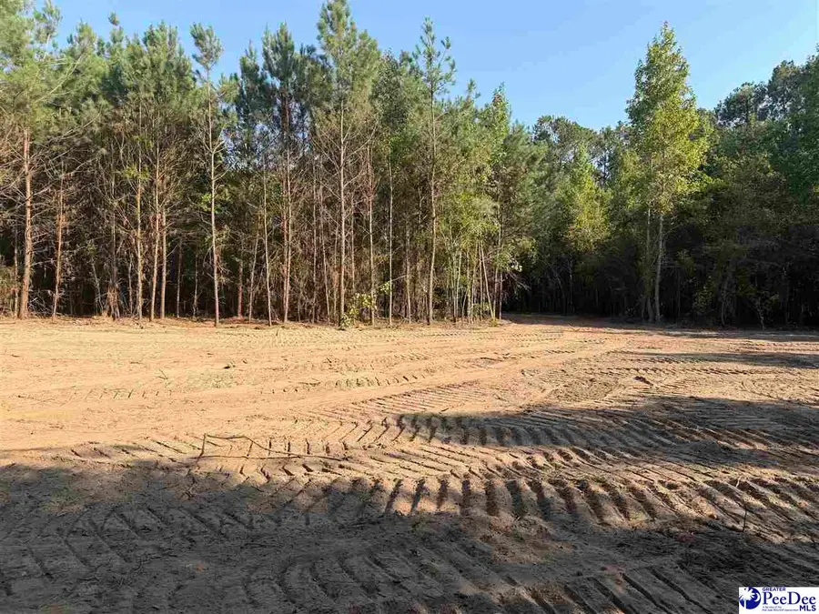 TBD New Hopewell Road, Hartsville, SC 29550 - #3