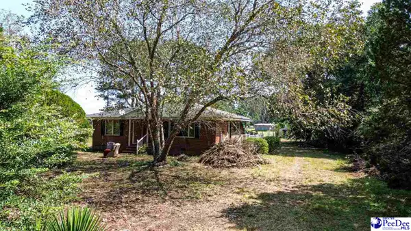 4701 Horace Matthews Rd, Effingham, SC 29541-3601