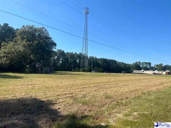 Hwy. 38, Blenheim, SC 29516