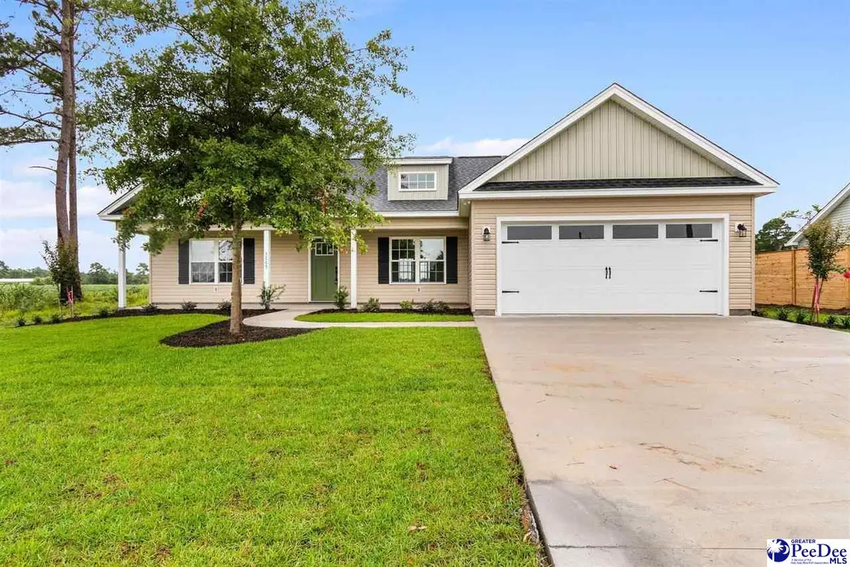 3180 Chapel Rd, Loris, SC 29569 - #1