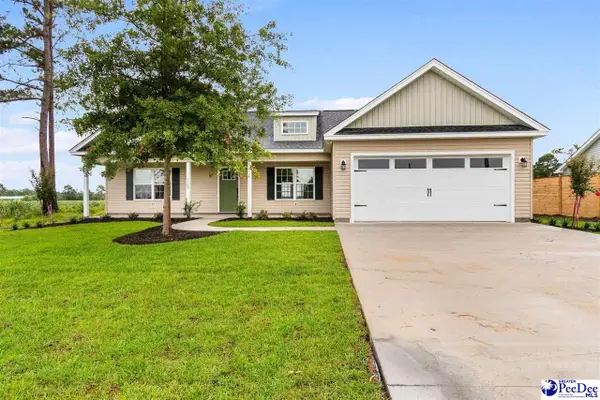 3180 Chapel Rd, Loris, SC 29569