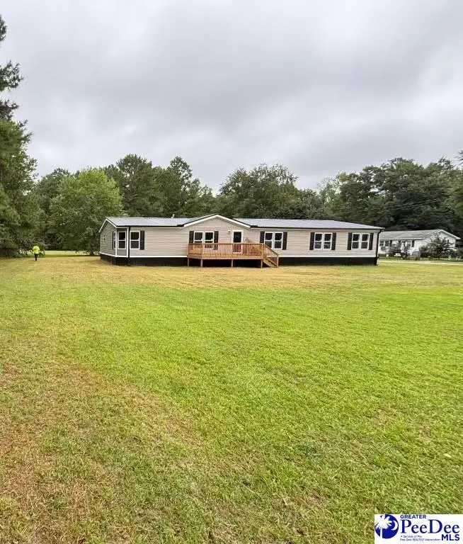1909 Tosha Dr, Effingham, SC 29541 - #1