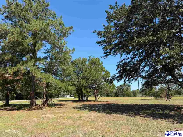 Lot 1 Isaiah Drive, Dillon, SC 29536